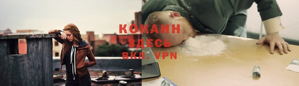 2c-b Алзамай